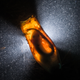 “Catshark Supernova”